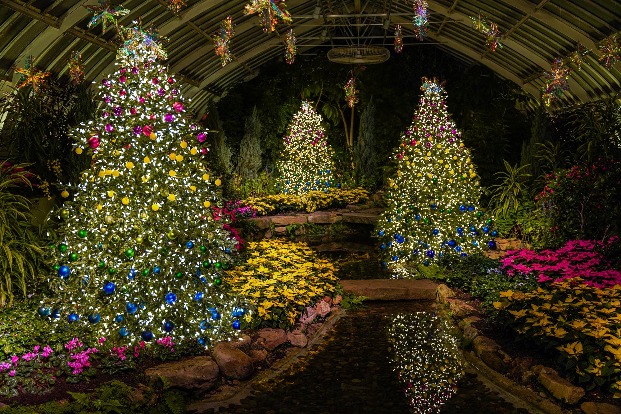 Phipps Conservatory's Winter Flower Show Holiday Magic