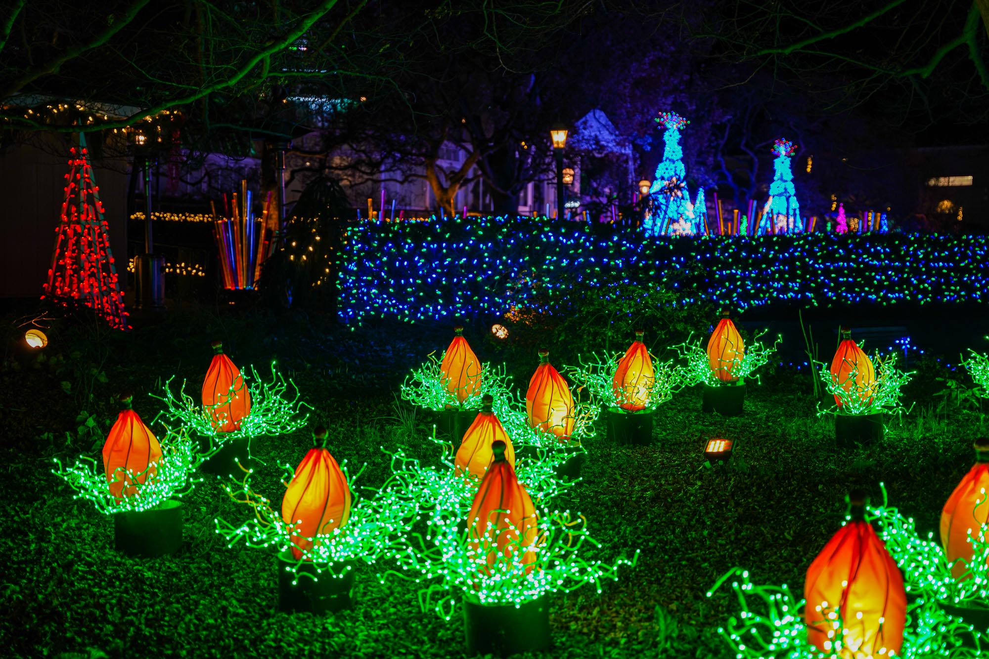 Phipps Conservatory's Winter Flower Show Holiday Magic