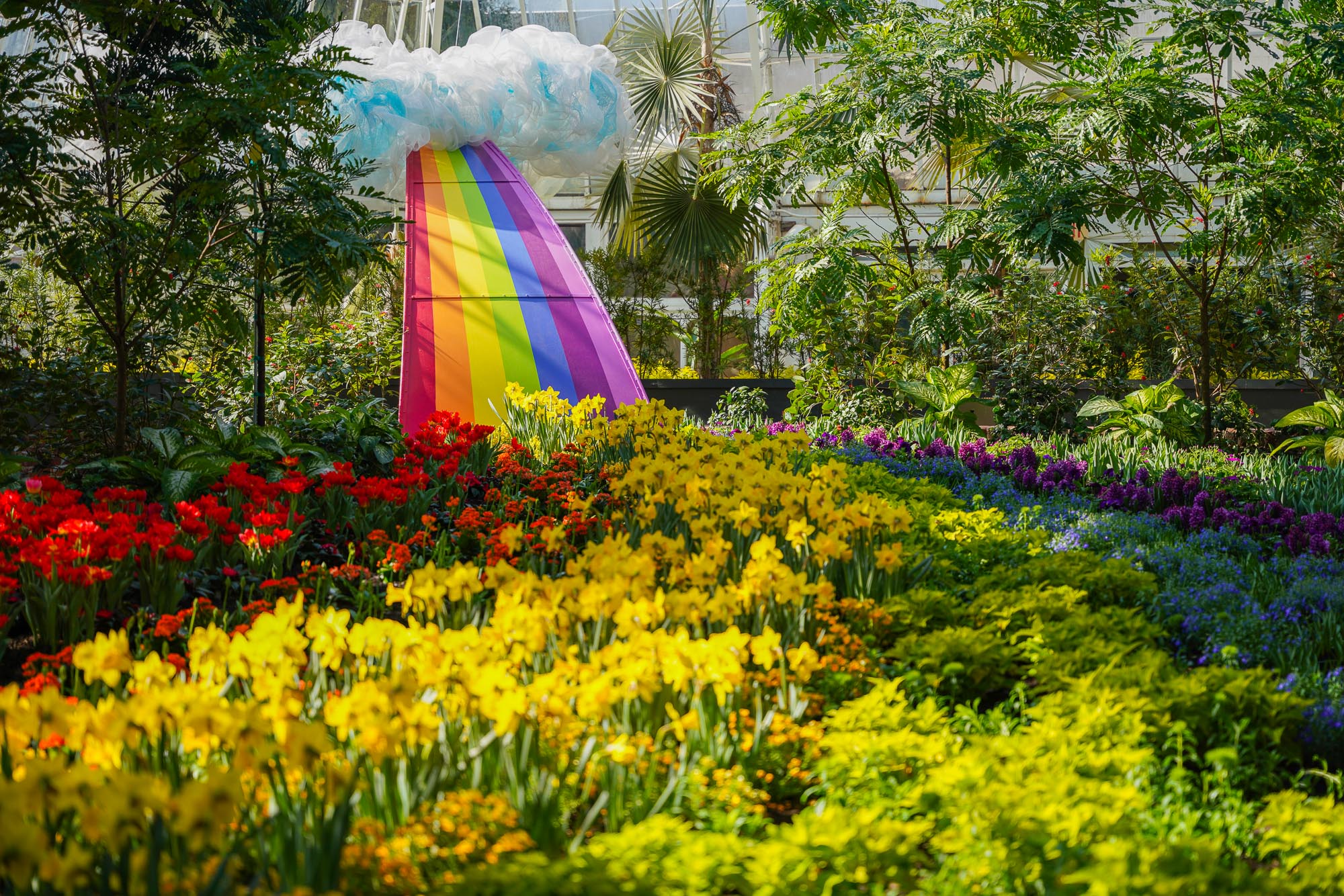 Phipps Conservatory's Spring Flower Show Sunshine and Rainbows