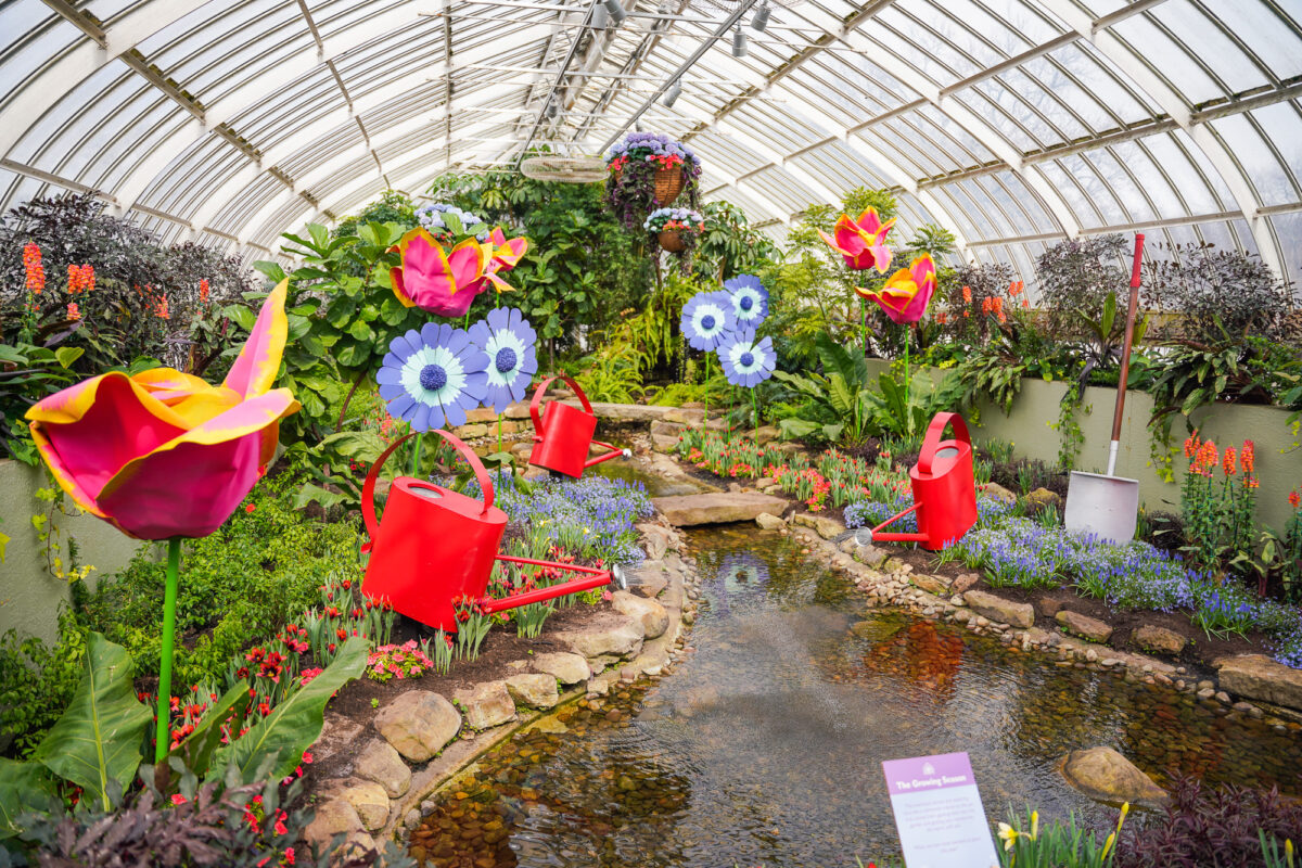 Phipps Conservatory's Spring Flower Show 5 Senses of Splendor
