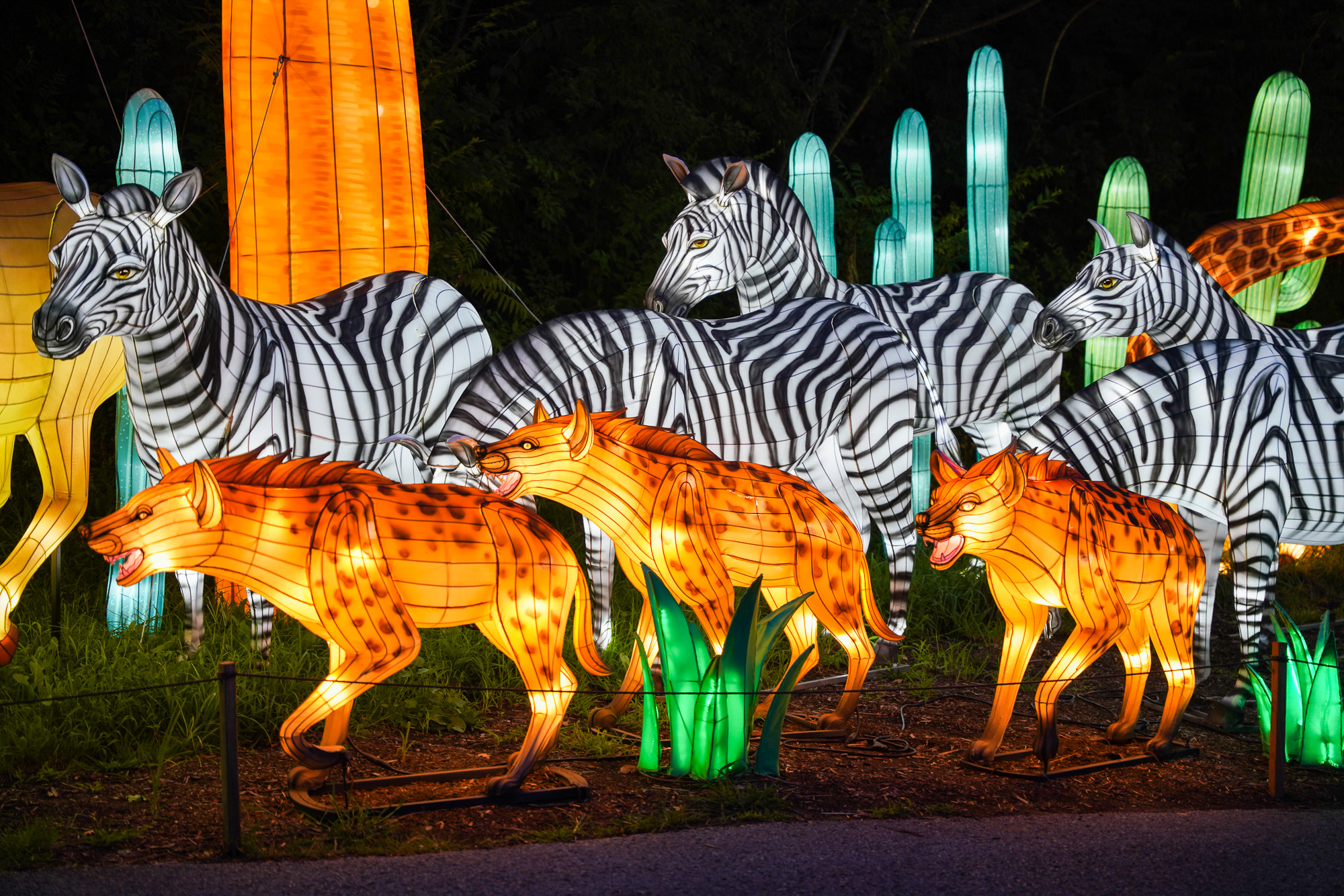 The Asian Lantern Festival Celebrates Animals, Culture, and More