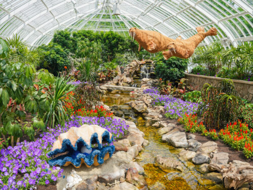 Phipps Conservatory’s Summer Flower Show – Under the Sea