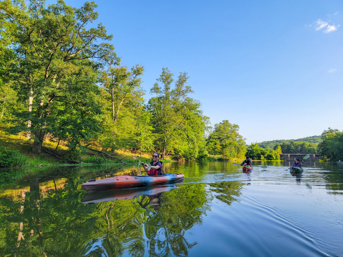 Kayaking in North Park